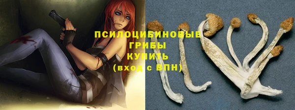 соль ск Алексин