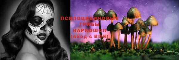 ПСИЛОЦИБИНОВЫЕ ГРИБЫ Абдулино