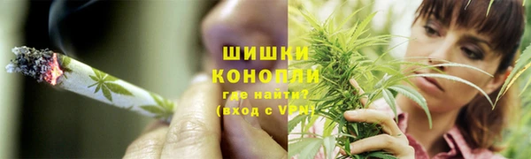 соль ск Алексин