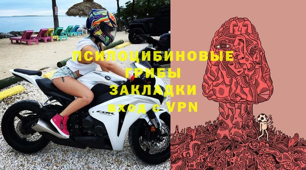 соль ск Алексин