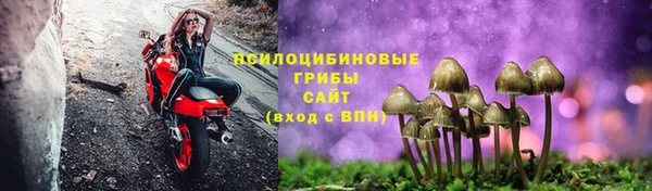 амфетамин Алексеевка